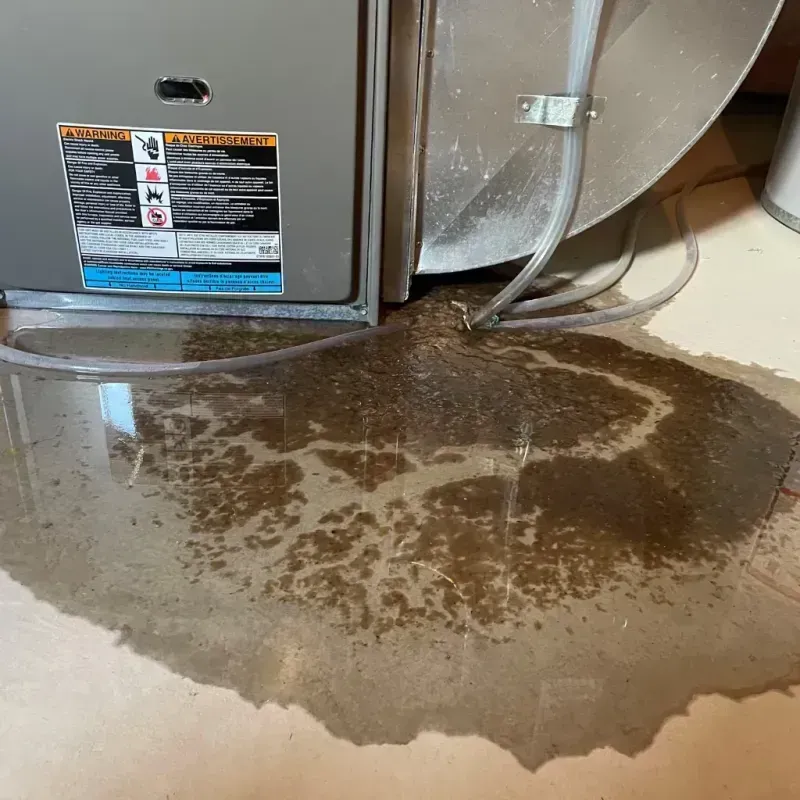 Appliance Leak Cleanup in La Center, WA